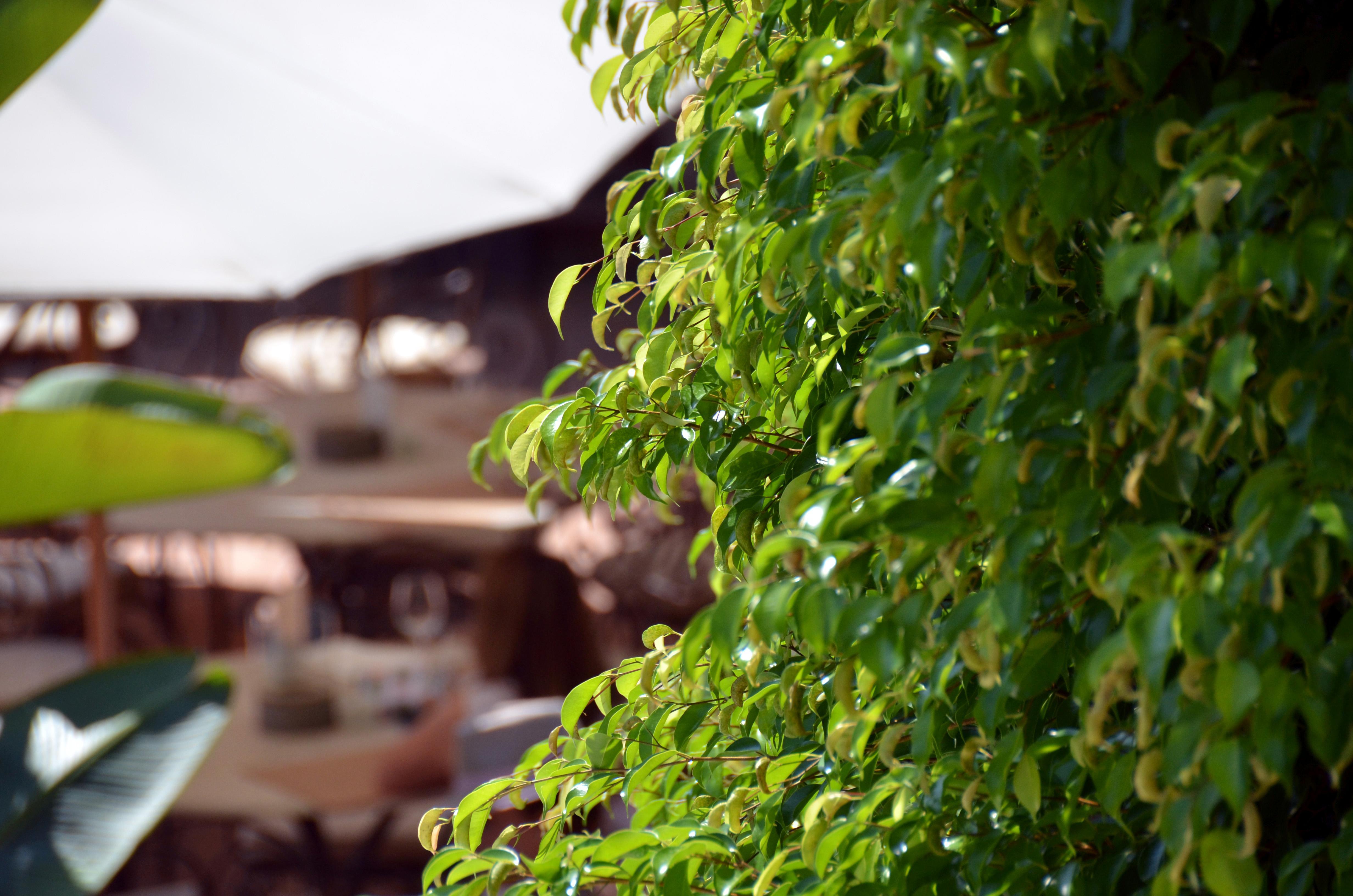 Swiss Moraira Hotel & Spa - Designed For Adults Екстериор снимка