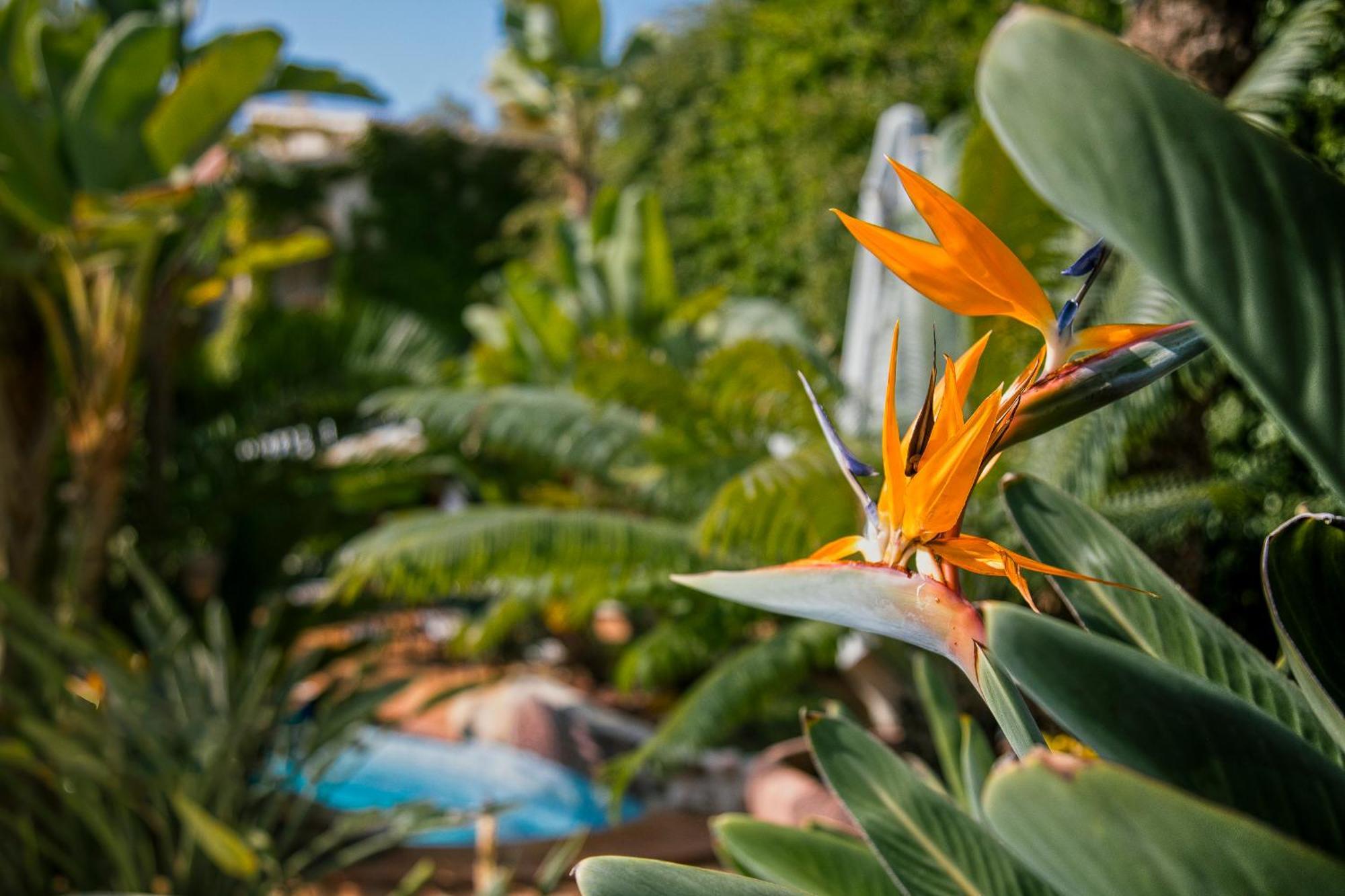 Swiss Moraira Hotel & Spa - Designed For Adults Екстериор снимка